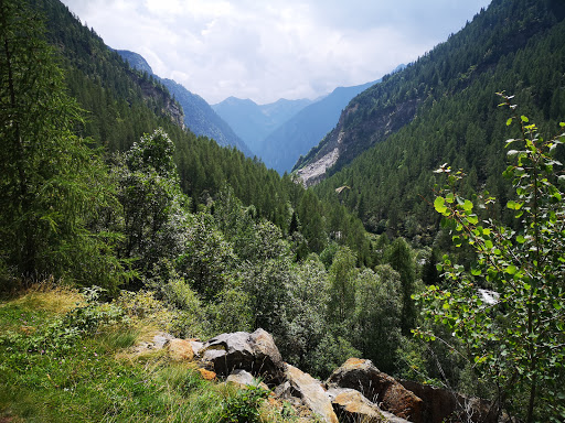 White Water Falls - Thumbnail