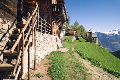Hofschank Wald - Thumbnail