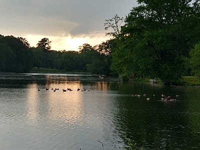 The Mists At Blairs Pond