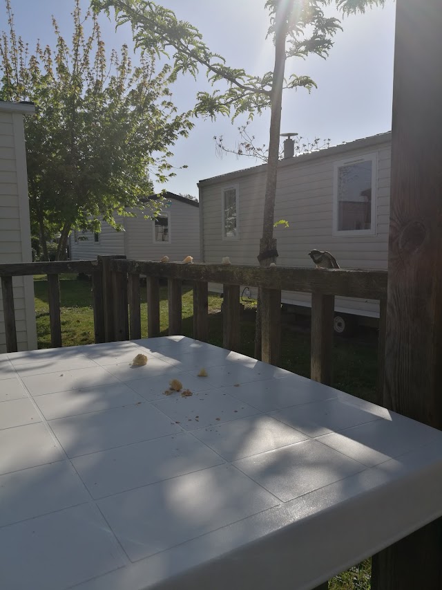 Camping Sandaya Sanguinet Plage