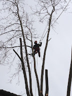 d une branche a l autre à Saint-Jean-de-Fos