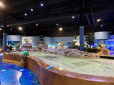 Living Shores Aquarium