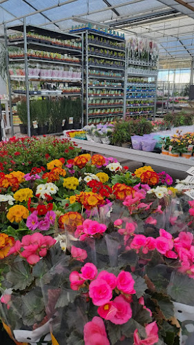 NORDFLOR Blumenhandel GmbH & Co.KG