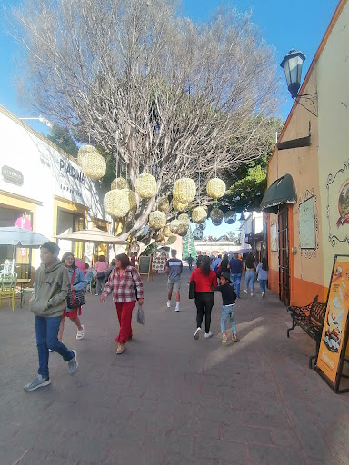 Dulces Bernal - Thumbnail