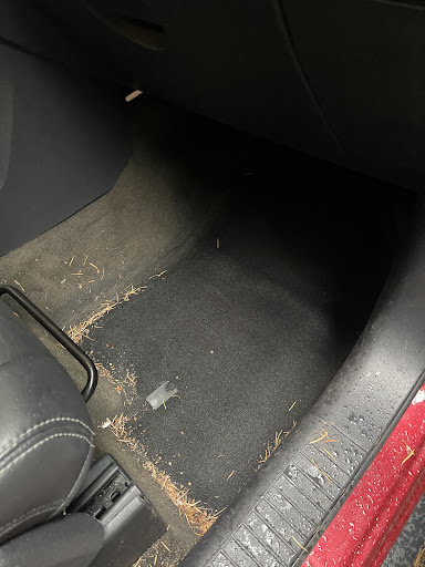 Dave’s Spectacular Detailing Service - Thumbnail