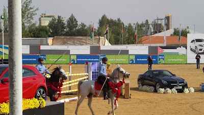 Photos of Arabian Horse Club