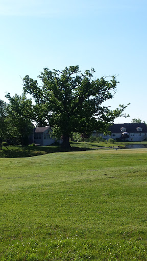 Captans Club GC - Thumbnail