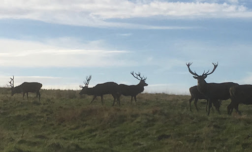 Lyme Park - Thumbnail
