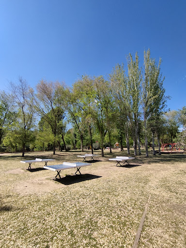 Enrique Tierno Galván Park Gallery - Spain