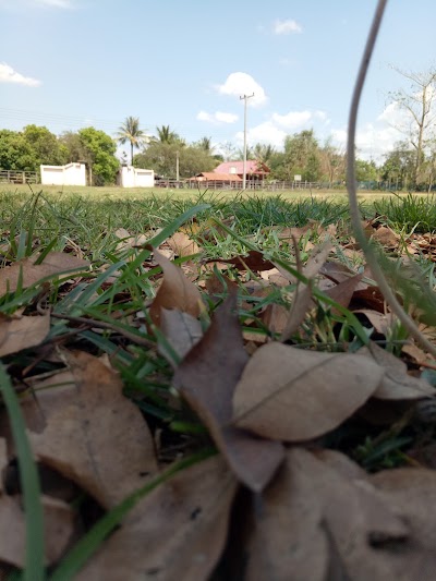 Photos of ໂຮງຮຽນປະຖົມບ້ານພູໂຮມ Poohome Primary School