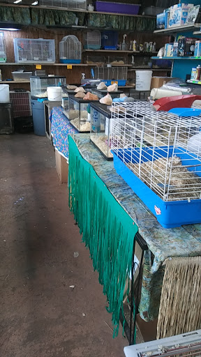 Magic Isle Aquarium Gallery - United States