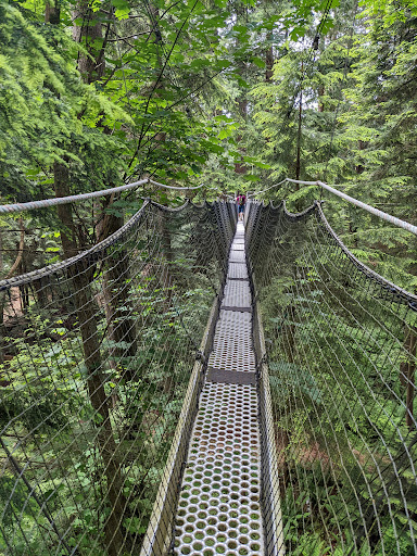 Greenheart TreeWalk Gallery - Canada