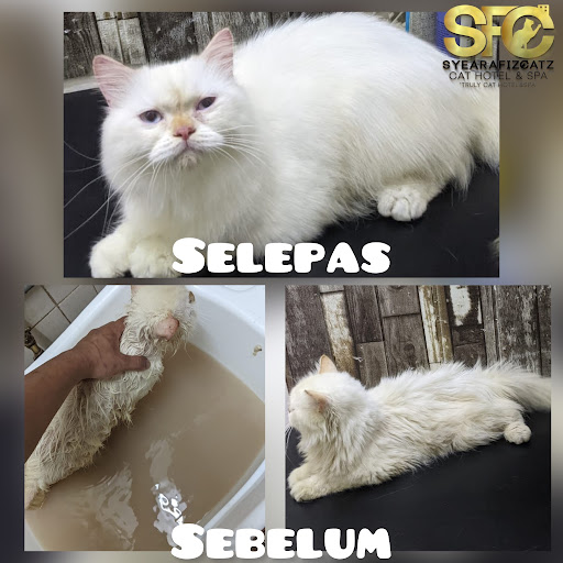 Syearafizcatz cat hotel & spa