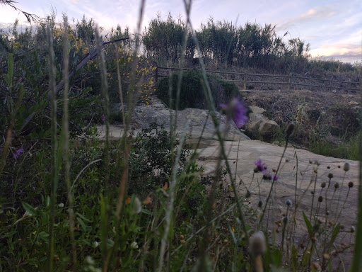 Pañuela - Visual