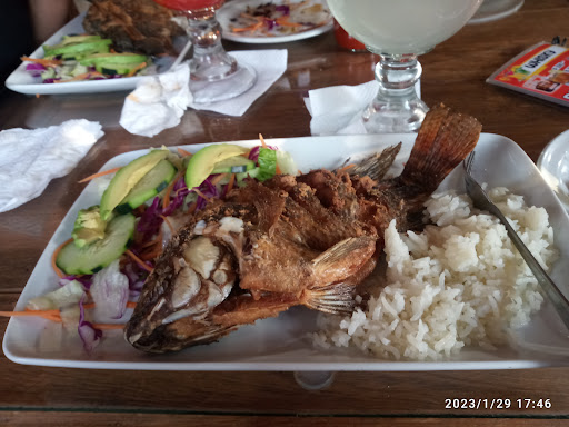 LOS PECES DE ZOZEA