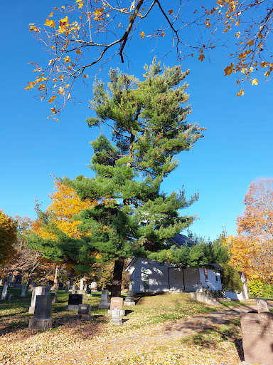 Verulam Cemetery