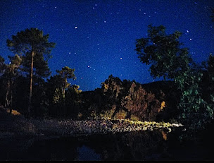 Photo n°43 de Restaurant U Rosumarinu à Sari-Solenzara (Pizzeria)