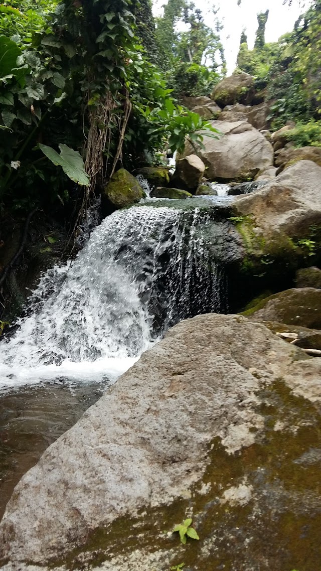 Bassin des Amours Dolé (naturel)
