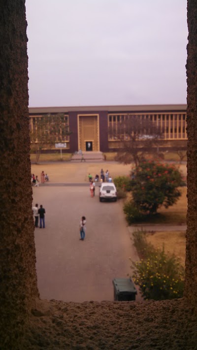 university