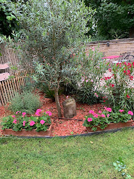Photo n°8 de M.Dhont Jardinier à Bueil (Service d'élagage)
