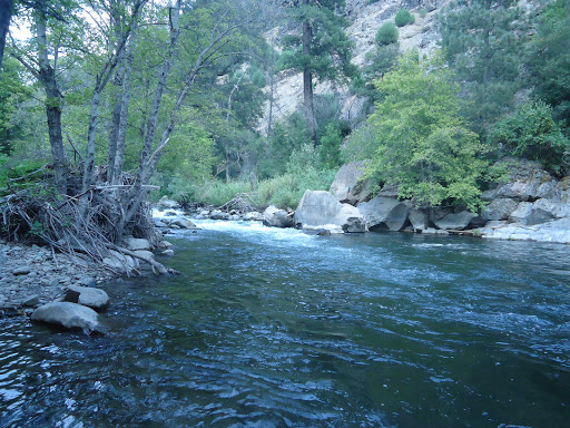 Queen Lily Campground - Thumbnail