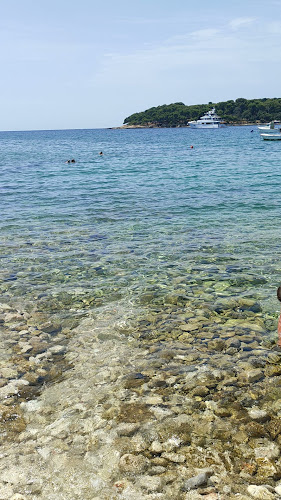 Broj telefona Arena Stoja Campsite