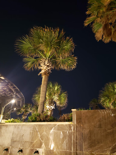 Beach Central - Visual