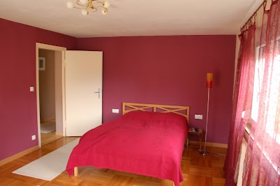 Photos of Damisa-House