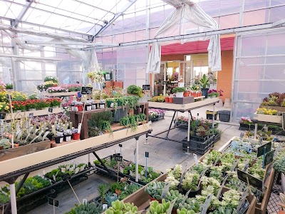 トマト園芸 レイクタウン店 Saitama 81 48 961 4187 Japan