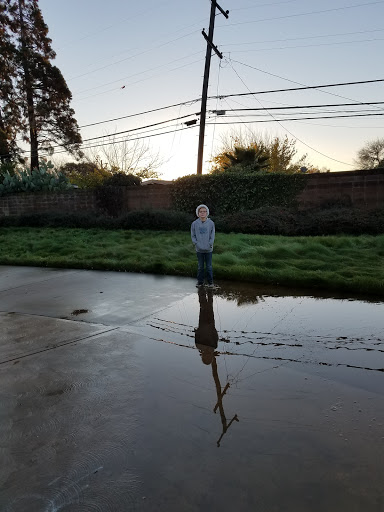 Linear Park Trail