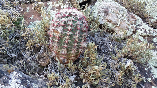 Achenbach Canyon Hiking Trail - Thumbnail