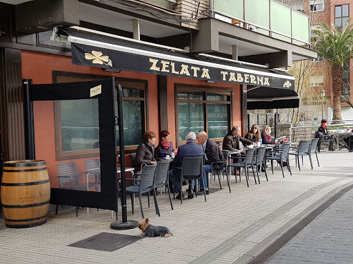 Zelata Taberna - Visual