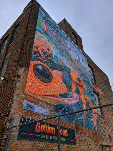 Golden Toad - Visual