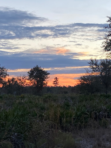 Camp Cachimba - Visual