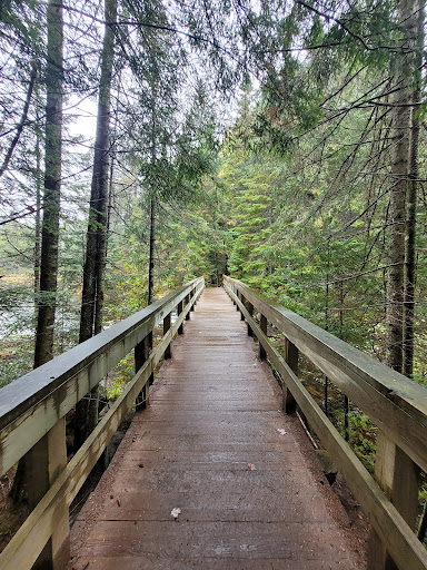 Track and Tower Trail - Thumbnail