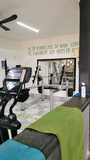 Basics Gym - Thumbnail