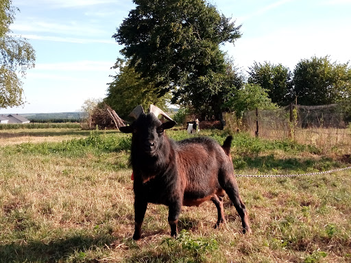 Photo de Le Point du Jour à Maubert-Fontaine (08260)