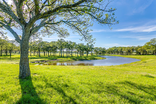 Marty Johnson - Keller Williams Realty - Thumbnail
