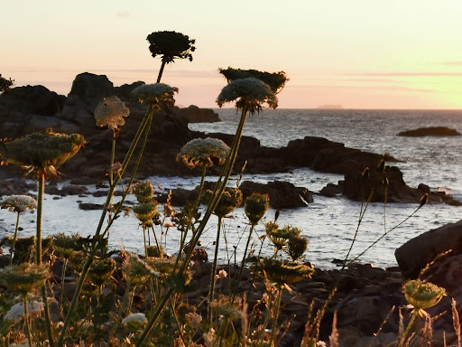 Castle Point - Thumbnail