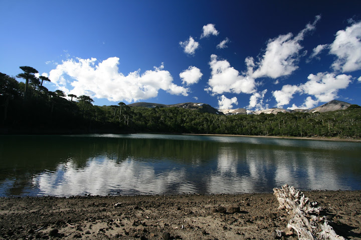 Adela y Helmut by null