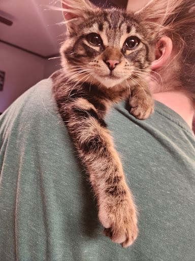 Rainier West Veterinary Hospital - Thumbnail