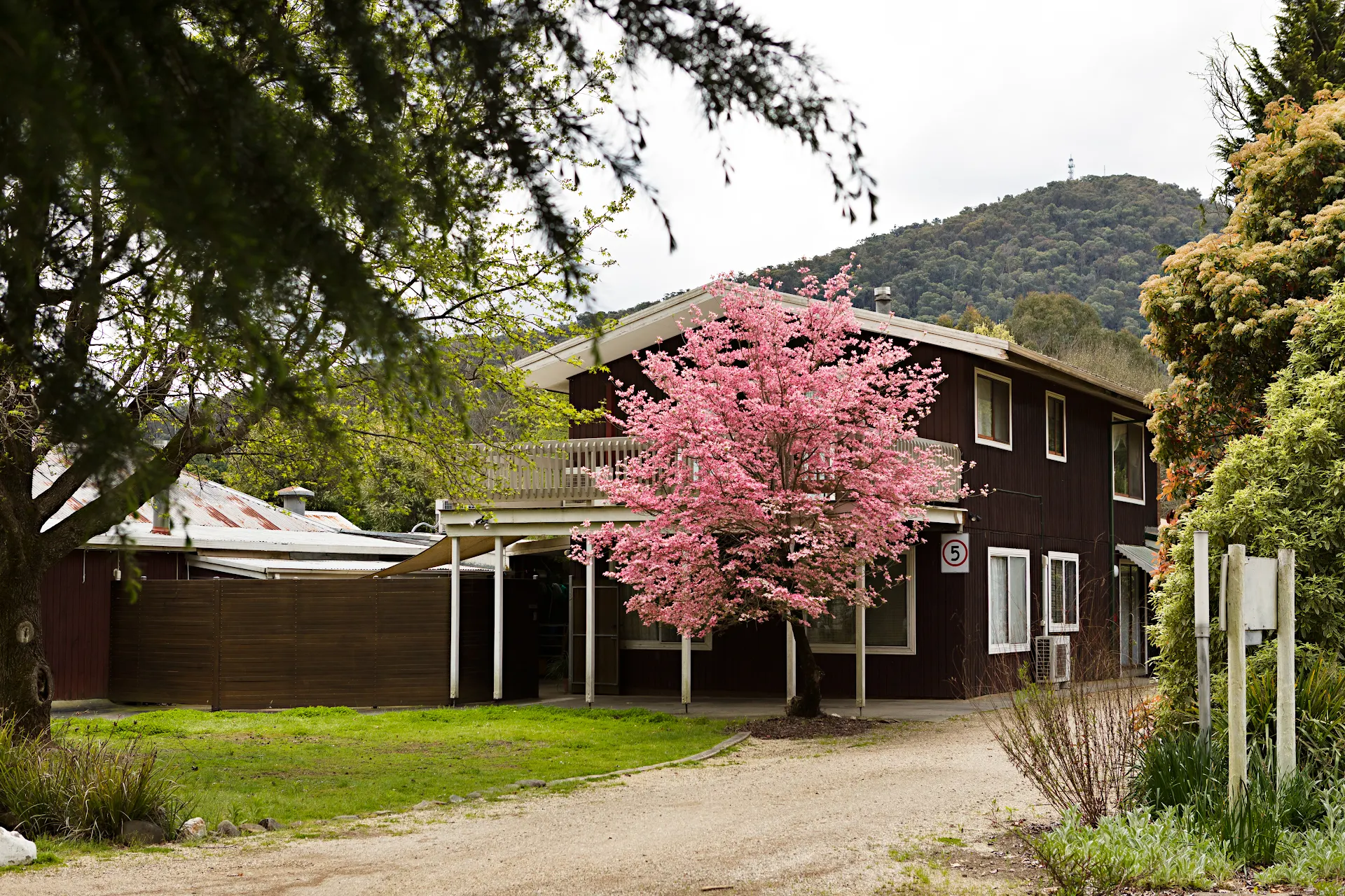Bright Alps Guest House