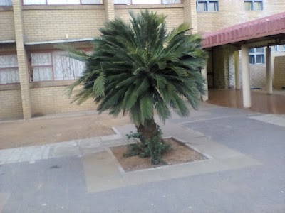 Photos of Block 479