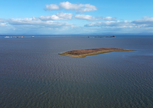 Sheep Island
