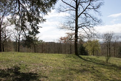 Photos of Svanninge Bakker