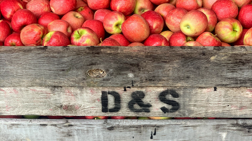 D&S Produce - Thumbnail