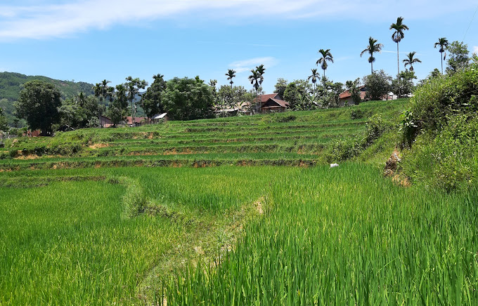 UBND Xã Sơn Ba, Sơn Ba, Sơn Hà, Quảng Ngãi