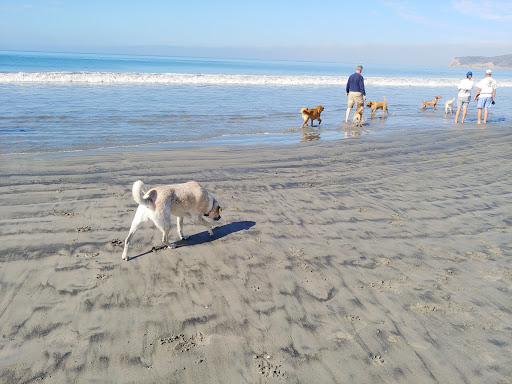 Coronado Dog Beach - Thumbnail