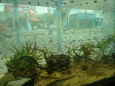 Photos of Acuario Escondido
