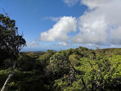 Molokaʻi Forest Reserve